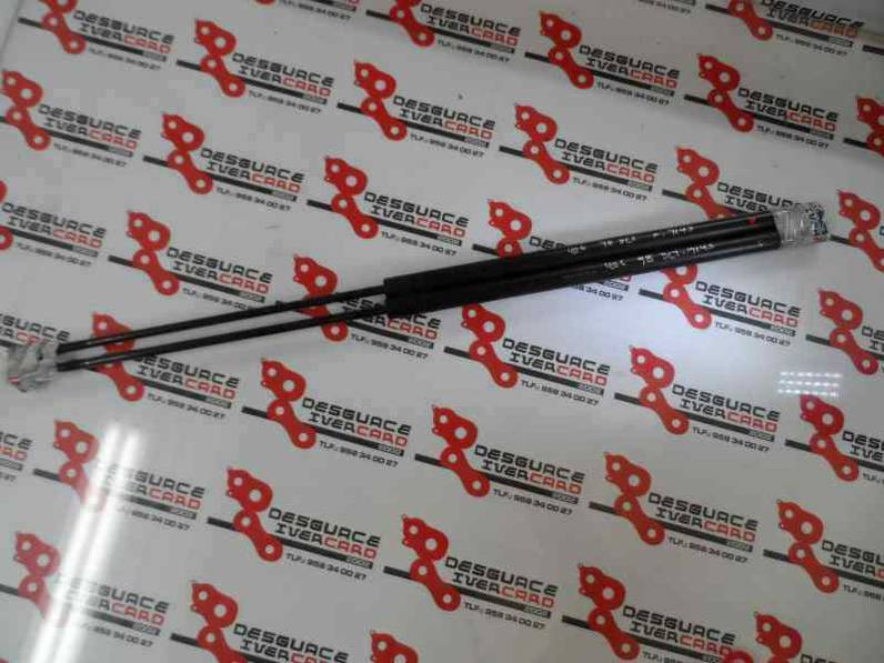 AMORTIGUADOR CAPOT PEUGEOT 406 BERLINA 1998 1.9 TURBODIESEL (90 CV)