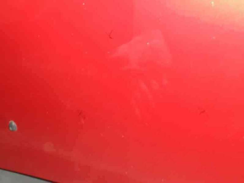 CAPOT RENAULT CLIO III 2006 1.5 DCI D (68 CV)