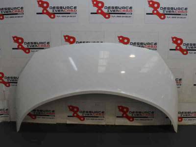 CAPOT RENAULT SCENIC II 2004 1.5 DCI D (101 CV)