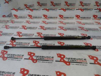 AMORTIGUADORES MALETERO PORTON RENAULT CLIO IV 2013 1.5 DCI D FAP (90 CV)