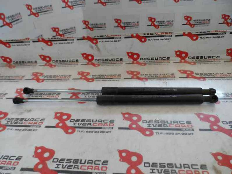 AMORTIGUADORES MALETERO PORTON RENAULT CLIO III 2007 1.2 16V (75 CV)