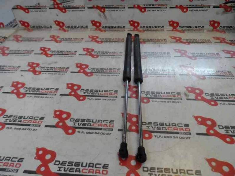 AMORTIGUADORES MALETERO PORTON RENAULT CLIO III 2007 1.2 16V (75 CV)