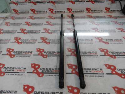 AMORTIGUADOR CAPOT VOLKSWAGEN TOUAREG 2005 3.0 V6 TDI DPF (224 CV)