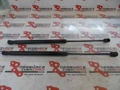 AMORTIGUADORES MALETERO PORTON CITROEN C3 2005 1.4 HDI (68 CV)