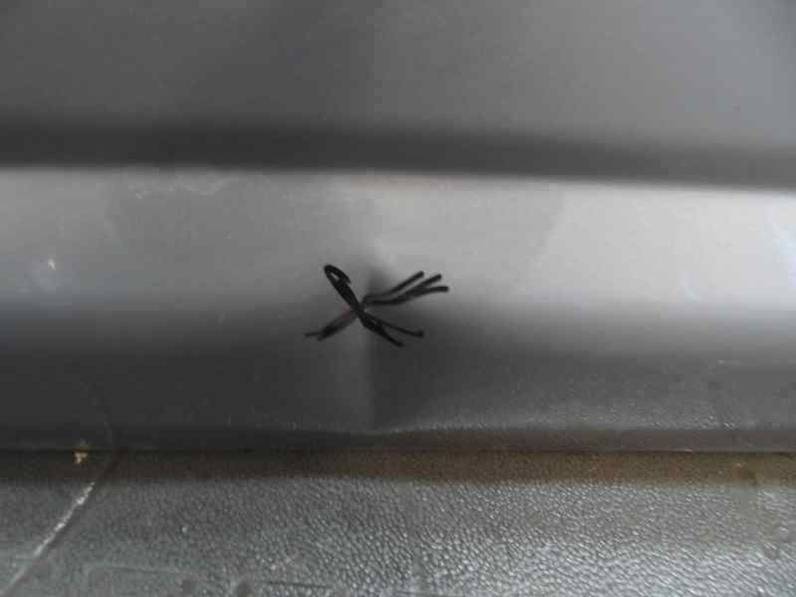 PUERTA DELANTERA DERECHA NISSAN TIIDA 2007 1.5 DCI TURBODIESEL (106 CV)