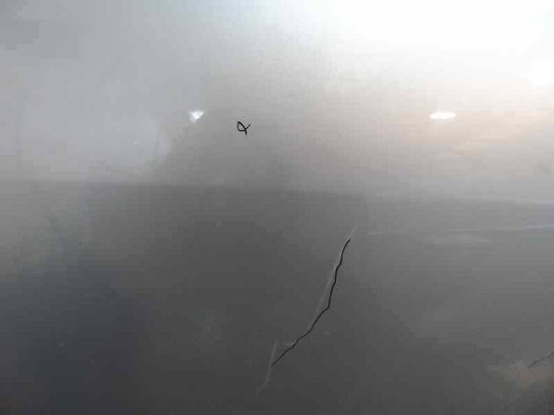 PUERTA DELANTERA DERECHA CITROEN C3 PLURIEL 2003 1.6 16V (109 CV)