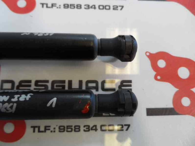 AMORTIGUADORES MALETERO PORTON CITROEN C3 PLURIEL 2003 1.6 16V (109 CV)