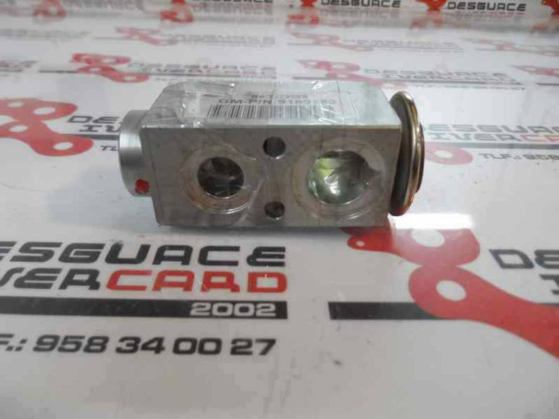 VALVULA EXPANSION FIAT CROMA 2008 1.9 JTD 16V (150 CV)