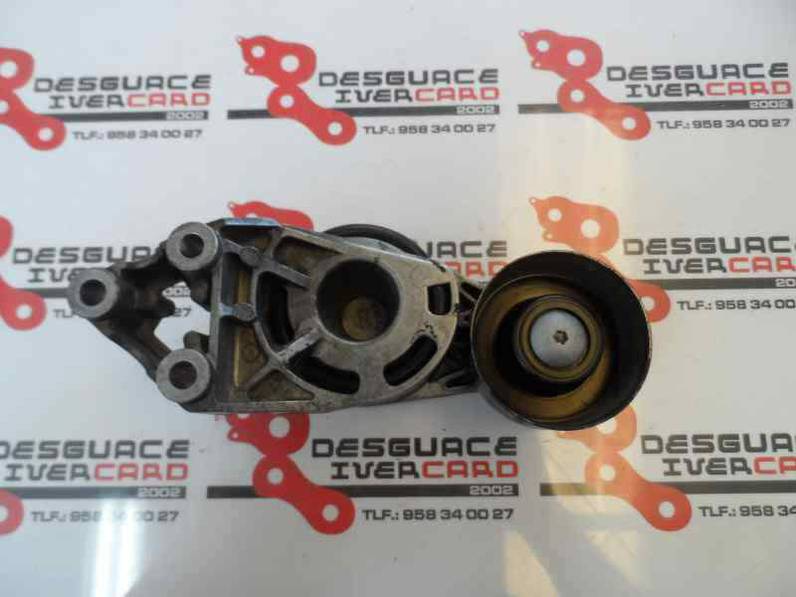 TENSOR CORREA AUXILIAR VOLKSWAGEN POLO 2009 1.4 TDI (69 CV)
