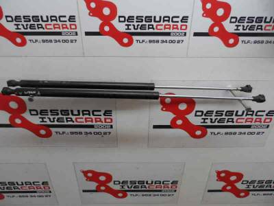 AMORTIGUADORES MALETERO PORTON CITROEN C8 2006 2.0 HDI FAP (136 CV)