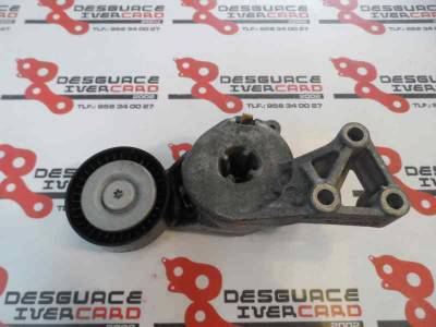 TENSOR CORREA AUXILIAR SEAT LEON 2006 1.6 (102 CV)