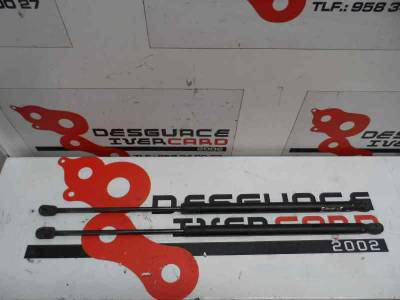 AMORTIGUADOR MALETERO PORTON FORD FUSION 2005 1.6 TDCI (90 CV)