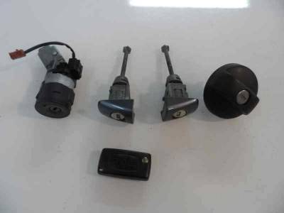 JUEGO BOMBINES PEUGEOT 207 2007 1.6 16V HDI (90 CV)