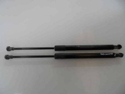 AMORTIGUADORES MALETERO PORTON DACIA DUSTER 2015 1.5 DCI D FAP (90 CV)