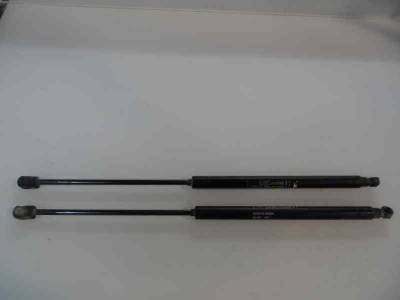 AMORTIGUADORES MALETERO PORTON FIAT BRAVO 2007 1.9 8V JTD (120 CV)