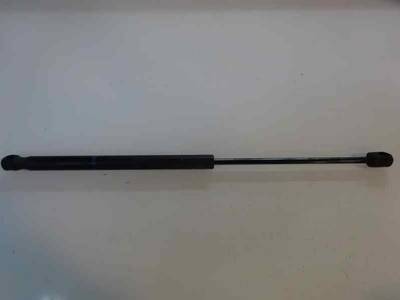 AMORTIGUADOR MALETERO PORTON CITROEN C2 2006 1.4 HDI (68 CV)