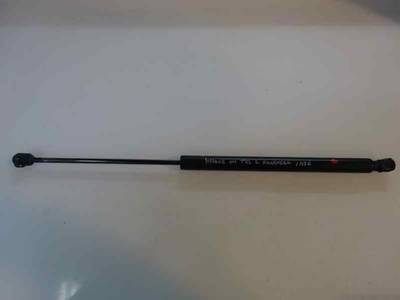 AMORTIGUADOR MALETERO PORTON RENAULT MEGANE II FAMILIAR 2004 1.9 DCI D (120 CV)