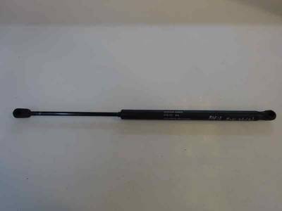 AMORTIGUADOR MALETERO PORTON FIAT PUNTO BERLINA 2002 1.9 D ECO (60 CV)