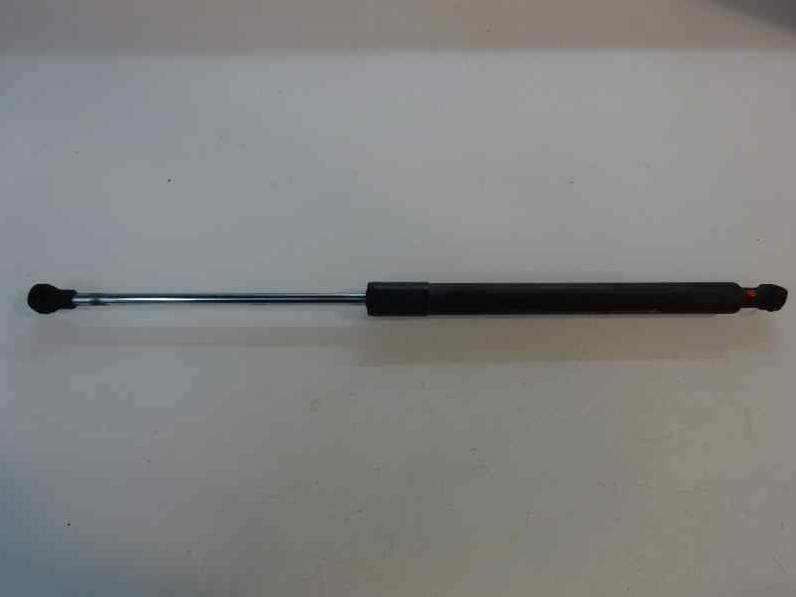 AMORTIGUADOR MALETERO PORTON RENAULT CLIO III 2009 1.5 DCI D (68 CV)