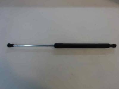 AMORTIGUADOR MALETERO PORTON RENAULT CLIO III 2009 1.5 DCI D (68 CV)