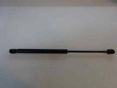 AMORTIGUADOR MALETERO PORTON RENAULT CLIO II FASE II 2002 1.2 (58 CV)