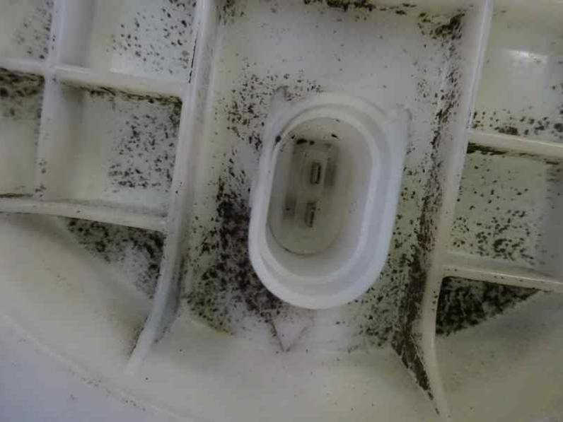 AFORADOR AUDI A6 BERLINA 2002 2.5 V6 24V TDI (180 CV)