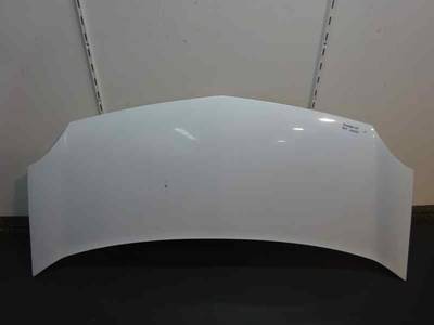 CAPOT RENAULT KANGOO 2009 1.5 DCI D (68 CV)