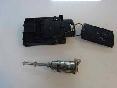 JUEGO BOMBINES RENAULT SCENIC III 2009 1.9 DCI D (131 CV)