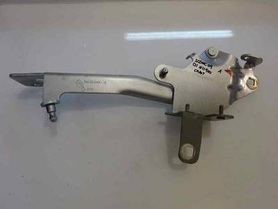 CAPOT RENAULT SCENIC III 2009 1.9 DCI D (131 CV)