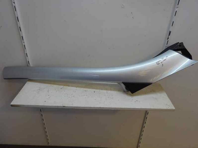 MOLDURAS DELANTERAS RENAULT SCENIC III 2009 1.9 DCI D (131 CV)