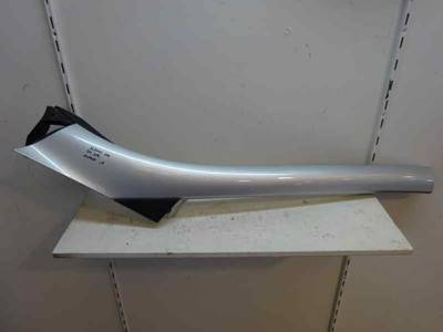 MOLDURAS DELANTERAS RENAULT SCENIC III 2009 1.9 DCI D (131 CV)