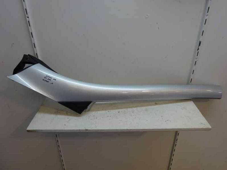 MOLDURAS DELANTERAS RENAULT SCENIC III 2009 1.9 DCI D (131 CV)