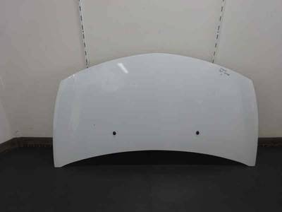 CAPOT RENAULT CLIO III 2010 1.5 DCI D (65 CV)