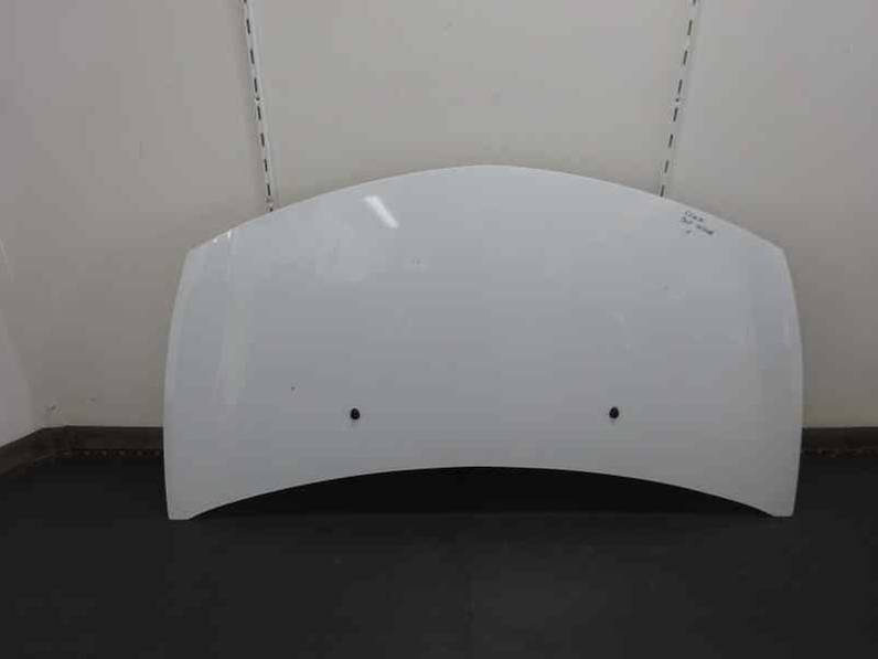 CAPOT RENAULT CLIO III 2010 1.5 DCI D (65 CV)