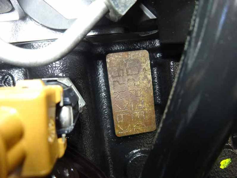 MOTOR COMPLETO RENAULT CLIO III 2010 1.5 DCI D (65 CV)