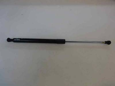 AMORTIGUADOR MALETERO PORTON RENAULT CLIO III 2011 1.5 DCI D FAP (88 CV)