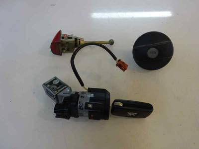 JUEGO BOMBINES PEUGEOT 207 2006 1.6 16V (109 CV)