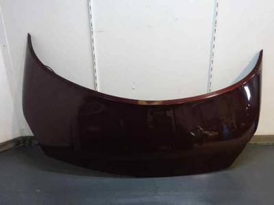 CAPOT RENAULT SCENIC II 2003 1.9 DCI D (120 CV)