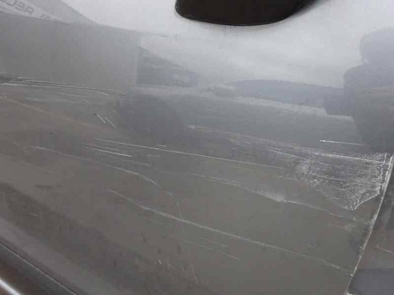 PUERTA DELANTERA DERECHA CITROEN C3 PICASSO 2010 1.6 16V HDI (90 CV)