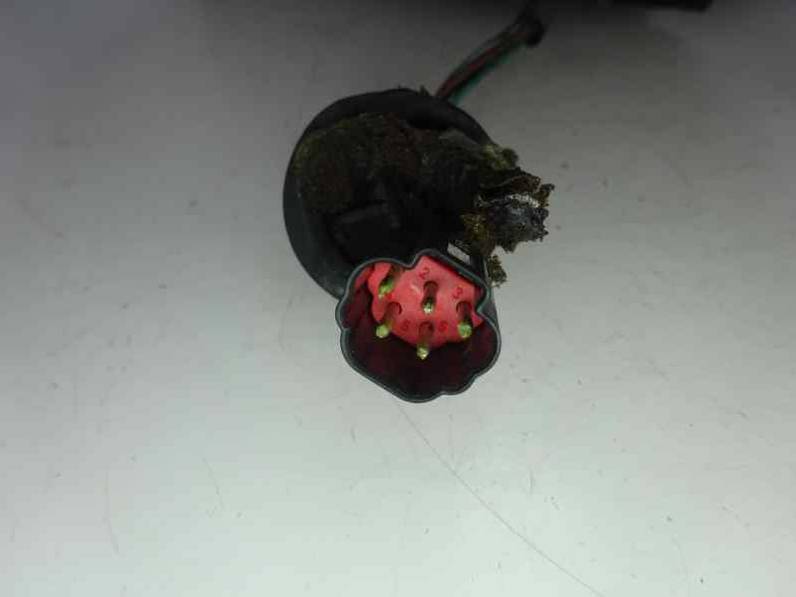 RETROVISOR DERECHO FORD FOCUS BERLINA 1999 1.6 16V (101 CV)