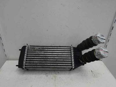 INTERCOOLER PEUGEOT EXPERT KASTEN 2013 1.6 HDI FAP (90 CV)