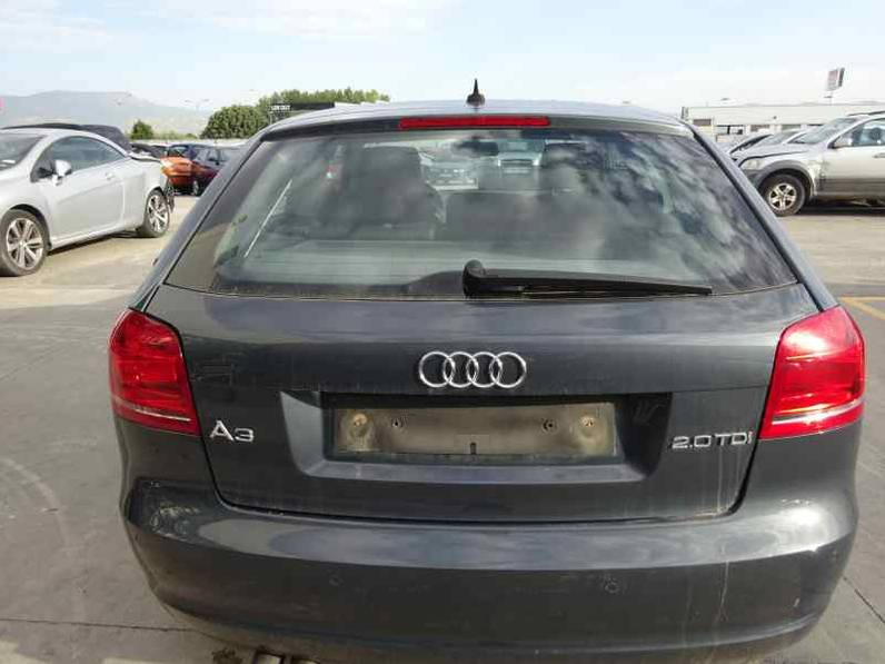 PORTON TRASERO AUDI A3 2008 2.0 TDI (140 CV)