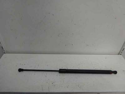 AMORTIGUADOR MALETERO PORTON RENAULT SCENIC III 2009 1.5 DCI D (106 CV)