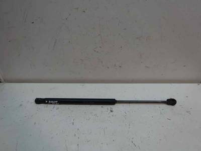 AMORTIGUADOR MALETERO PORTON CITROEN C3 2002 1.4 (73 CV)