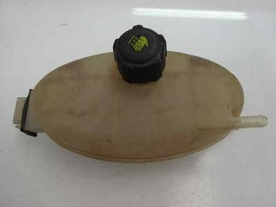 DEPOSITO EXPANSION RENAULT TRAFIC COMBI 2008 2.0 DCI D (114 CV)