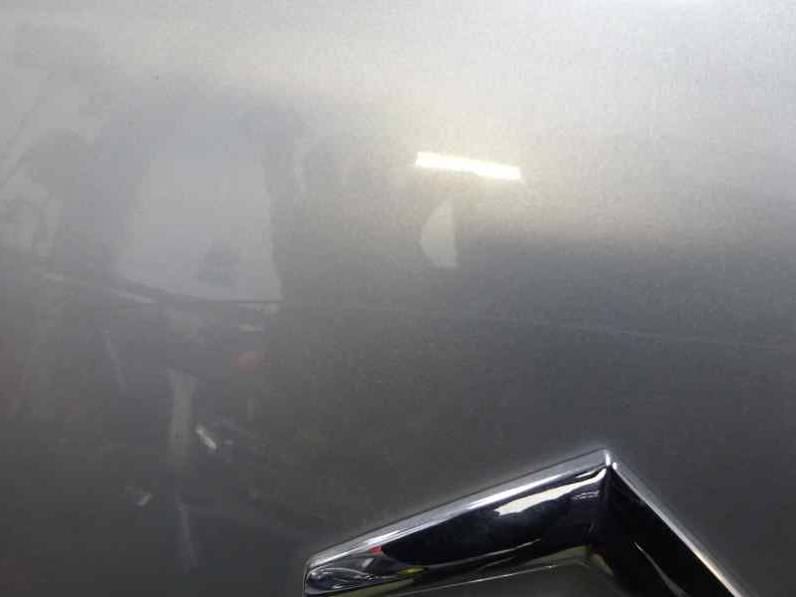 PORTON TRASERO CITROEN C4 PICASSO 2009 1.6 16V HDI FAP (109 CV)