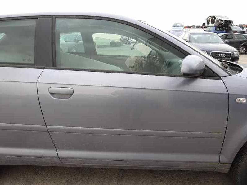 PUERTA DELANTERA DERECHA AUDI A3 2008 1.9 TDI (105 CV)