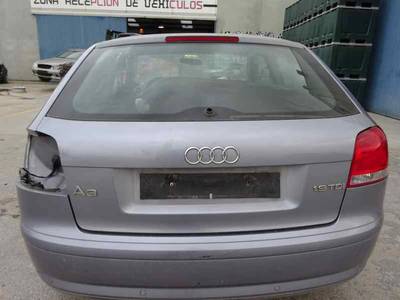 PORTON TRASERO AUDI A3 2008 1.9 TDI (105 CV)