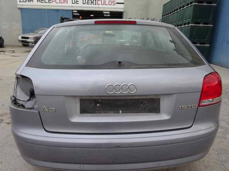 PORTON TRASERO AUDI A3 2008 1.9 TDI (105 CV)