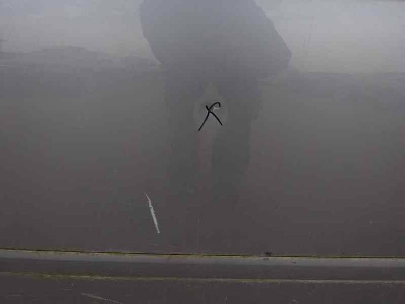 PUERTA DELANTERA IZQUIERDA AUDI A3 2008 1.9 TDI (105 CV)